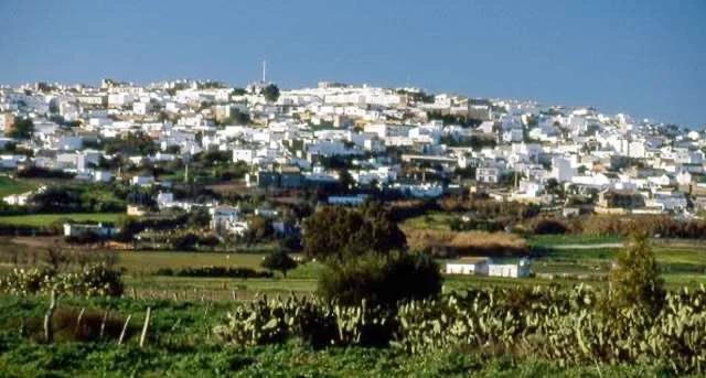 desatascos en benalup